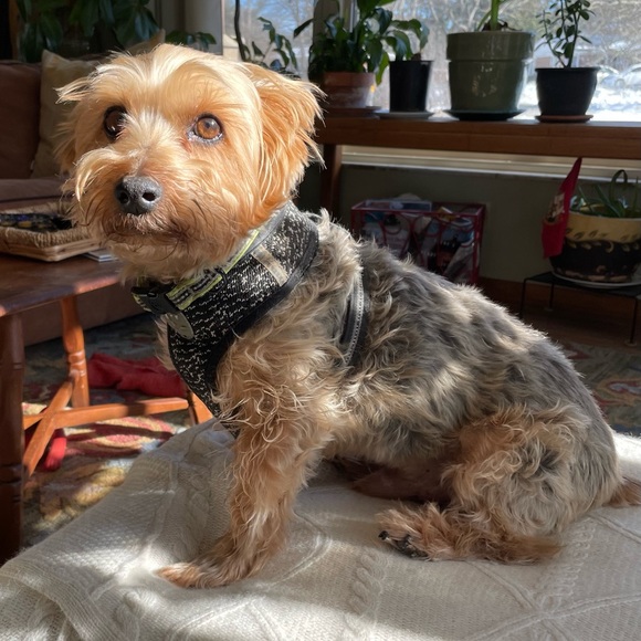 Back to selling 🥰 and shopping 😍 - Picture 5 of 9